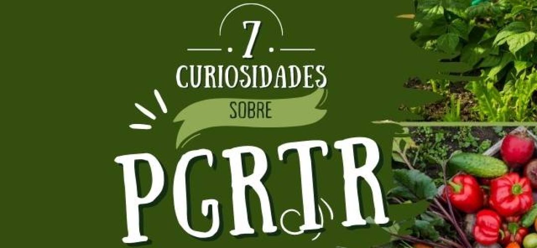 PGRTR: 7 curiosidades que você precisa saber 1 PGRTR