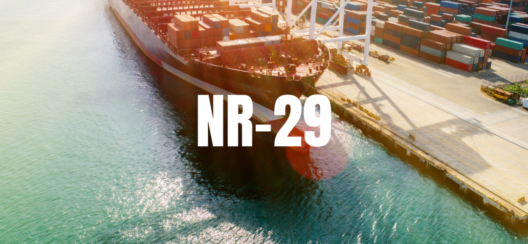 NR 29 Guia do Profissional SST b0f7cb51