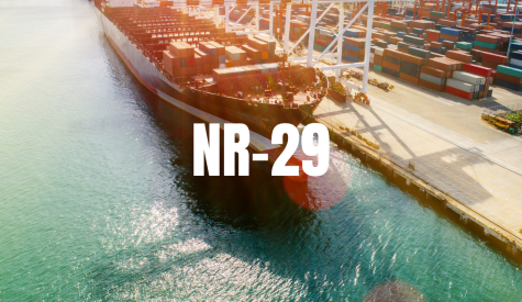 NR 29 Guia do Profissional SST e1444aa6