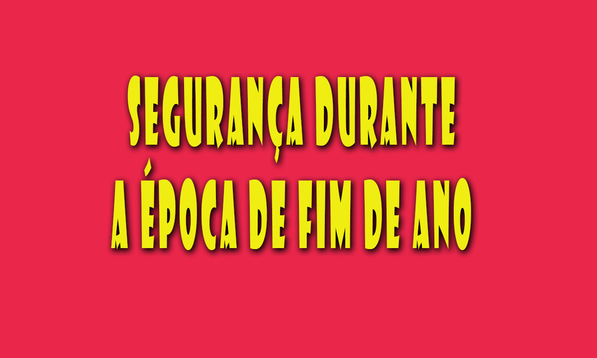 Segurança durante a época de fim de ano DDS Online