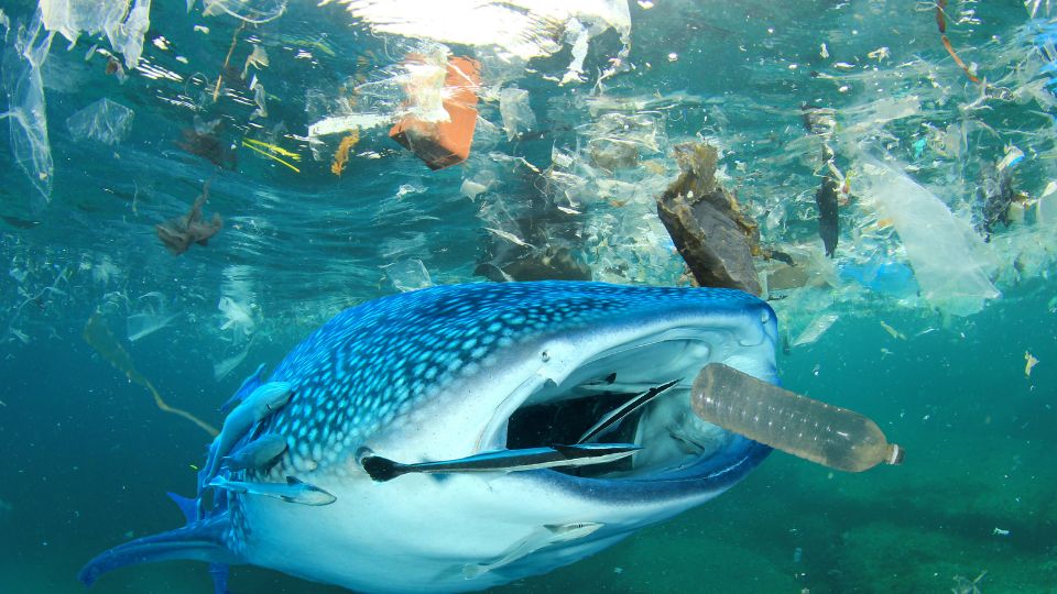 Lixo nos oceanos