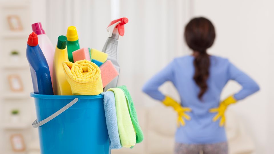 NR-16 não se aplica aos empregados domésticos