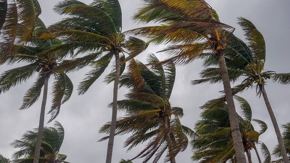 Condições climáticas adversas