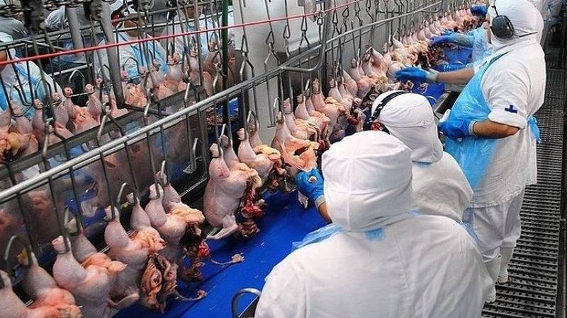 Gestão de riscos é essencial na NR-36