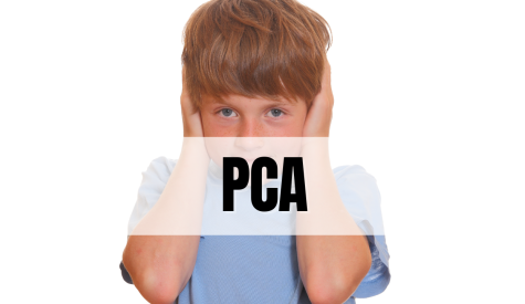 Programa de Conservação Auditiva