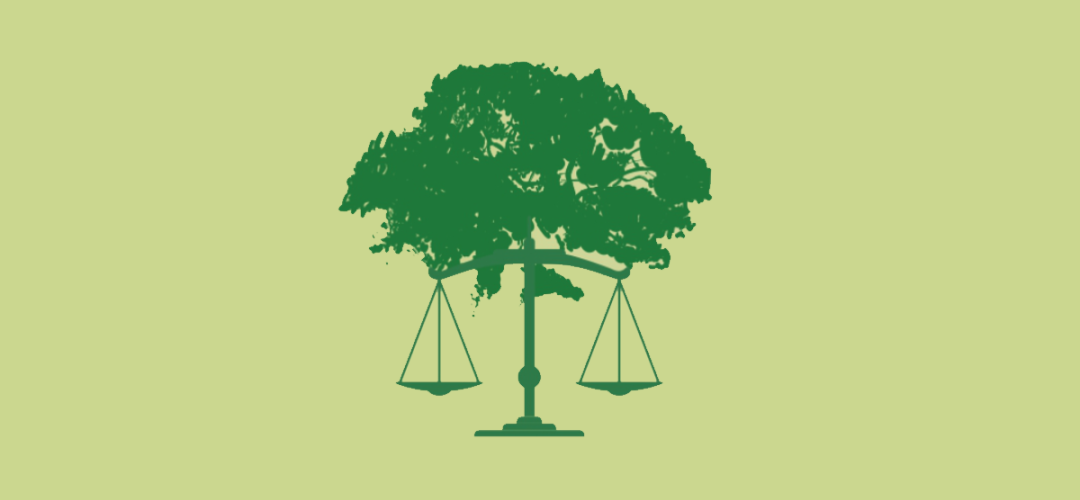 Uma pequena introdução a Legislação Ambiental 1 uma pequena introducao a legislacao ambiental 071ae768