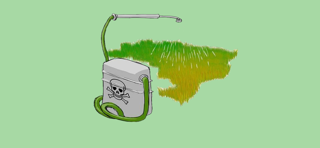 agrotóxicos