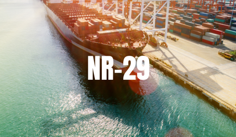 NR 29 Guia do Profissional SST 4f0fba9b