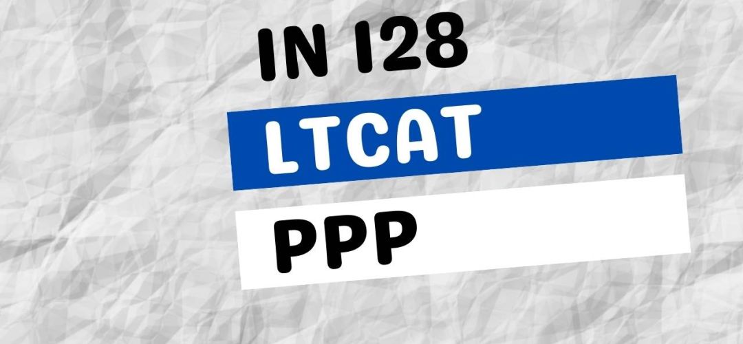 IN 128: Novas Regras Para LTCAT e PPP 1 IN 128 8dd123fe