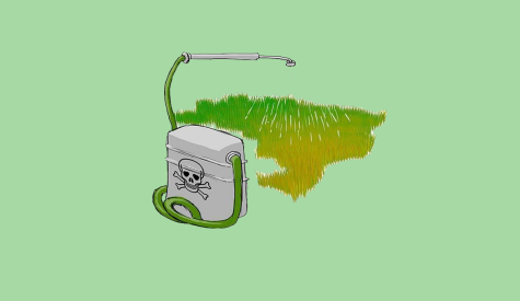 agrotóxicos