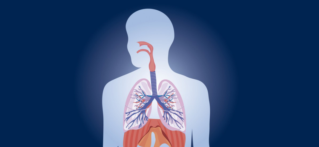 Proteção respiratória 1 protecao dos pulmoes c0b7ecb7