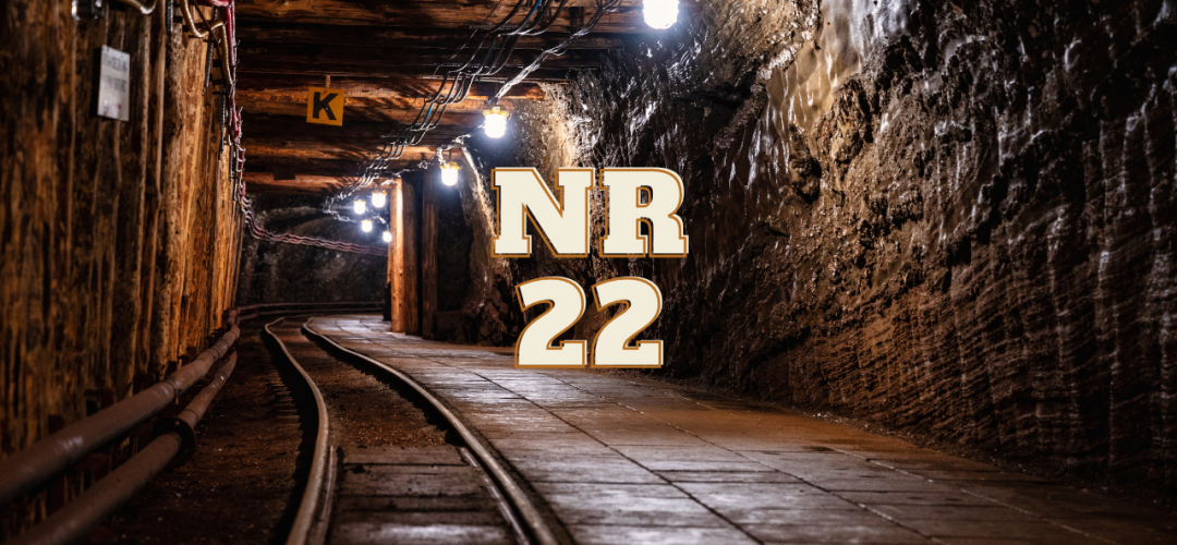 NR 22 d6fafeef